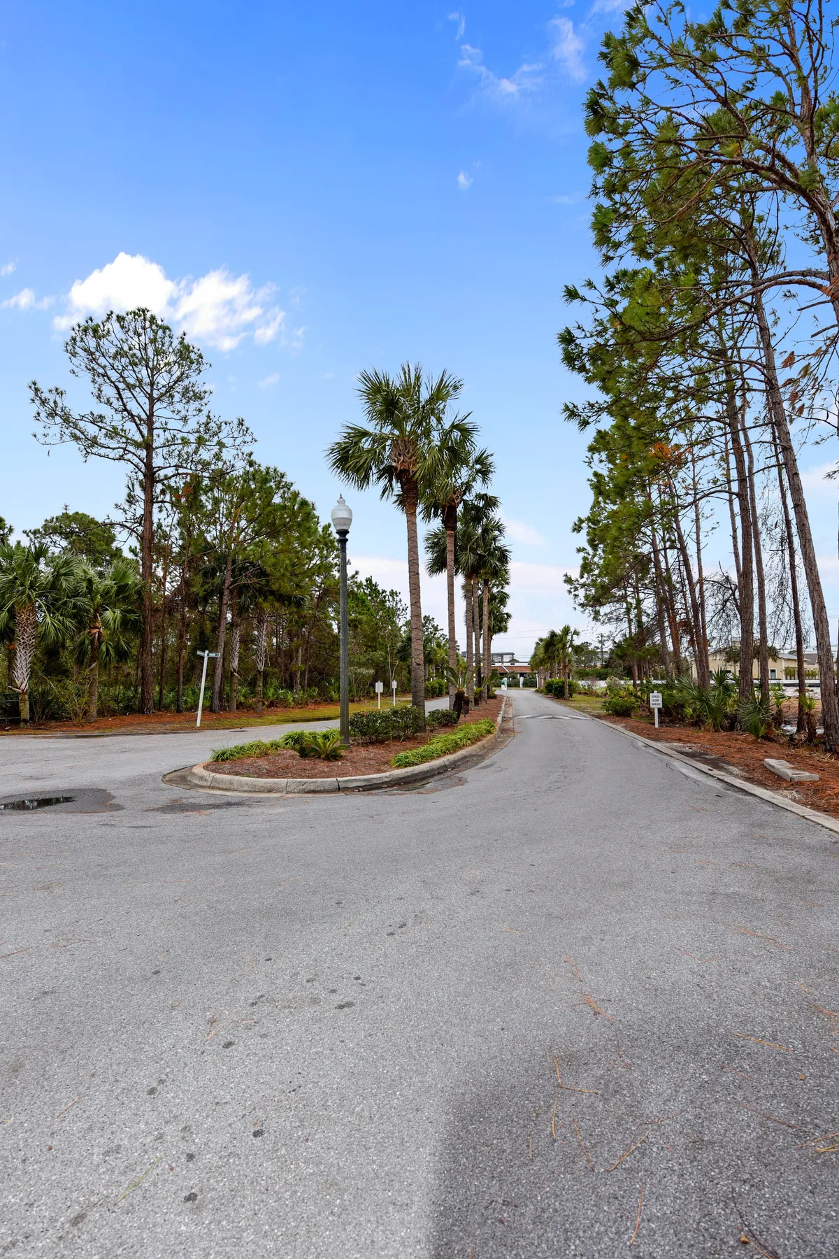 A peaceful residential street lined with palm trees, a street lamp, and well-manicured greenery. The curved road suggests a quiet neighborhood perfect for strolling.