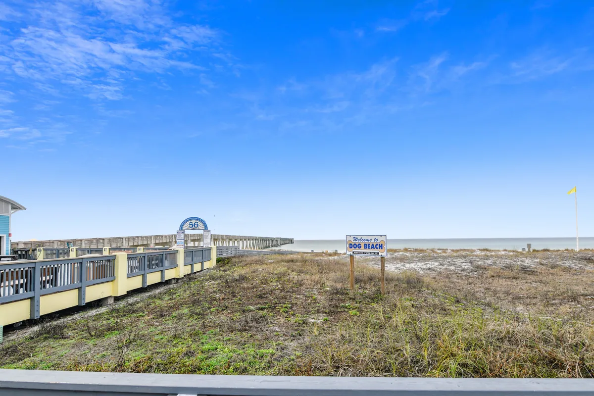 A peaceful sandy beach with sparse coastal vegetation is framed by a wooden pier extending into the gentle ocean. A sign reads 'Welcome to Dog Beach,' clearly indicating this is a designated area for dogs. The calm ocean horizon and wide-open shoreline suggest ample space for pets and their owners to enjoy the sun and sea together.